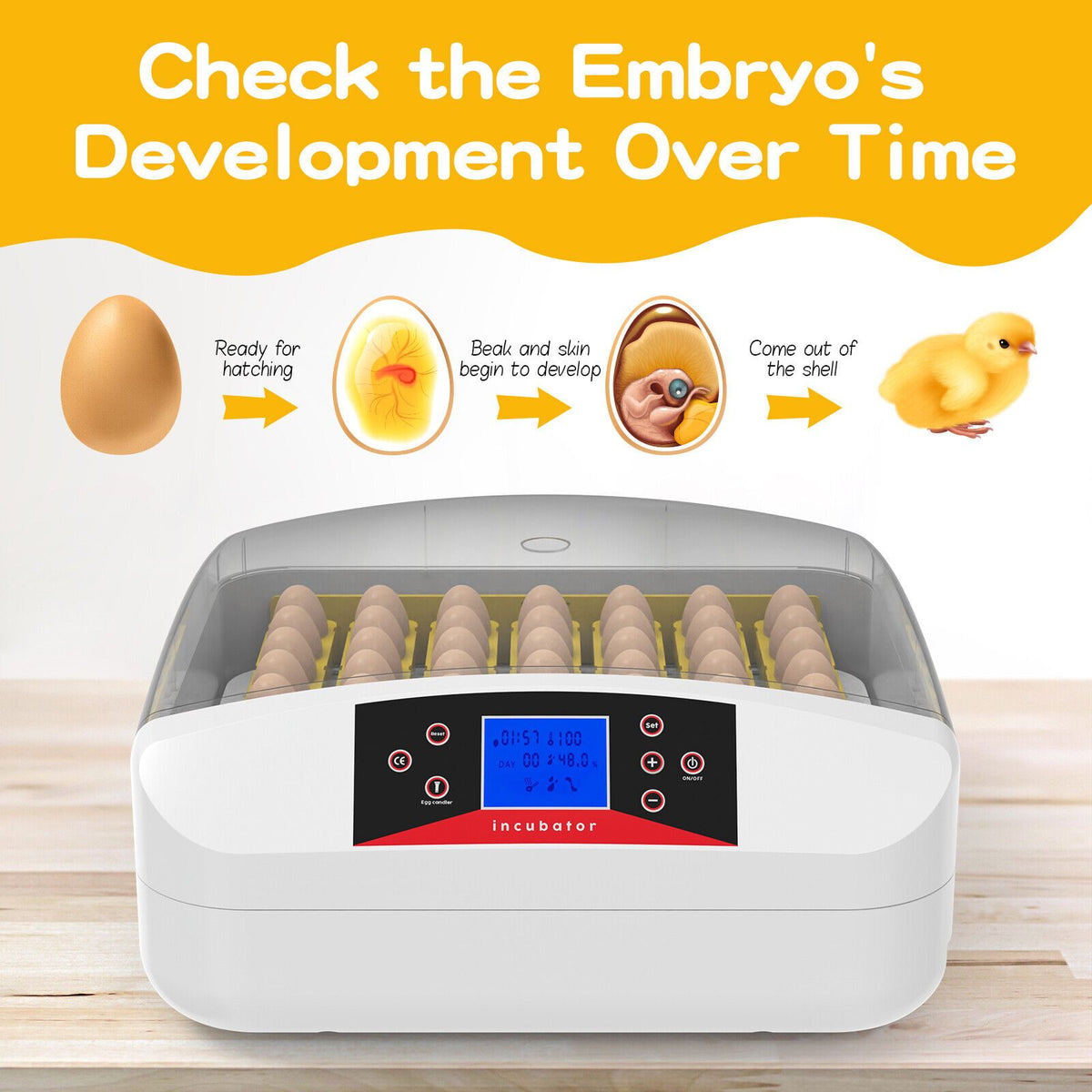 56 Egg Automatic Incubator – LED Digital Display, Chicken and Duck