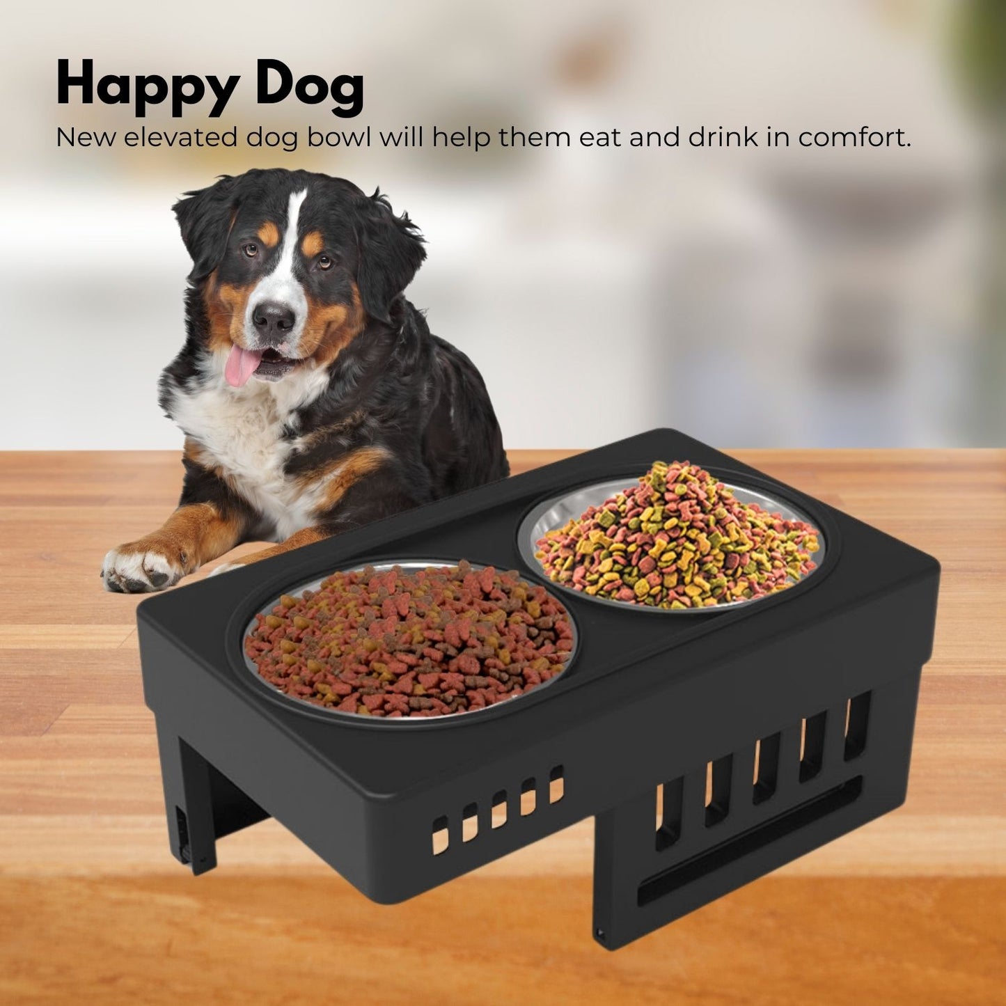 Elevated Raised Pet Feeder with Double Bowl (Black) FI-FD-119-SY