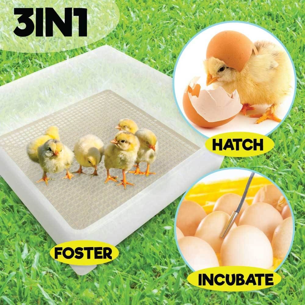 112 Egg Electric Incubator with Accessories – Chicken, Quail and Duck