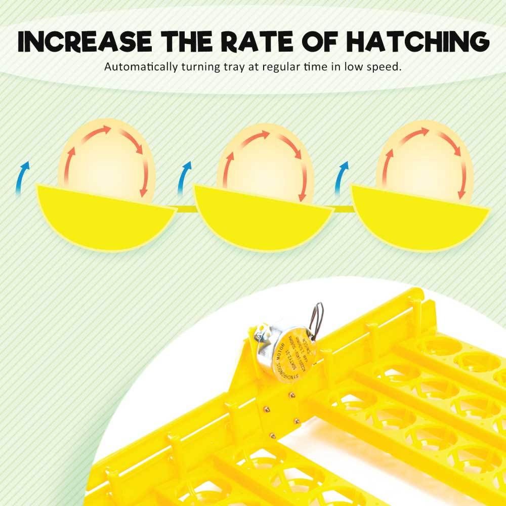96 Egg Electric Incubator with Accessories – Chicken, Quail and Duck