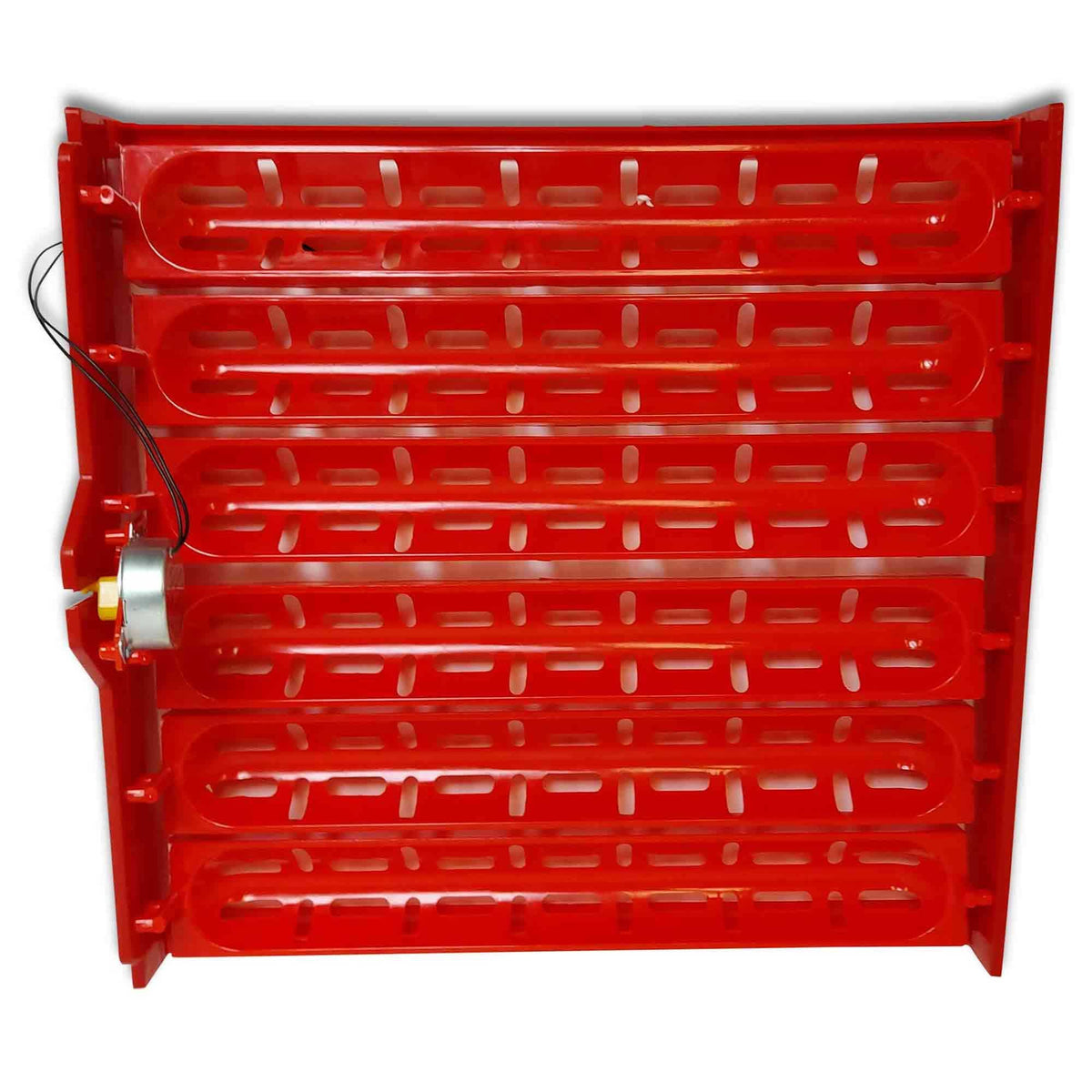 60 Egg Electric Incubator with Accessories – Chicken, Quail and Duck