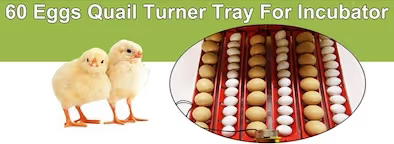 60 Egg Electric Incubator with Accessories – Chicken, Quail and Duck