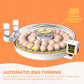 Automatic egg turning device with eggs on an orange background