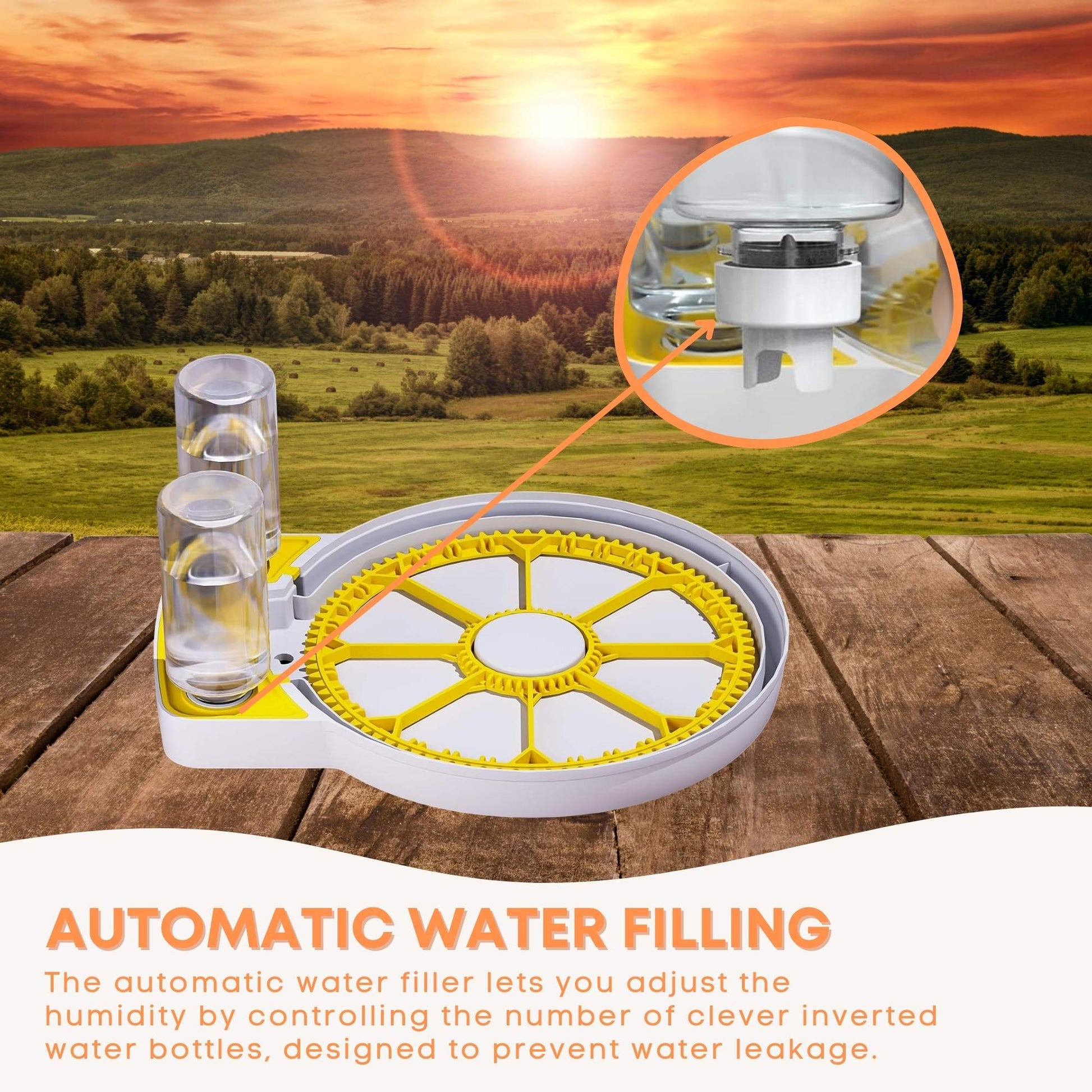 Automatic water filling device with a scenic background