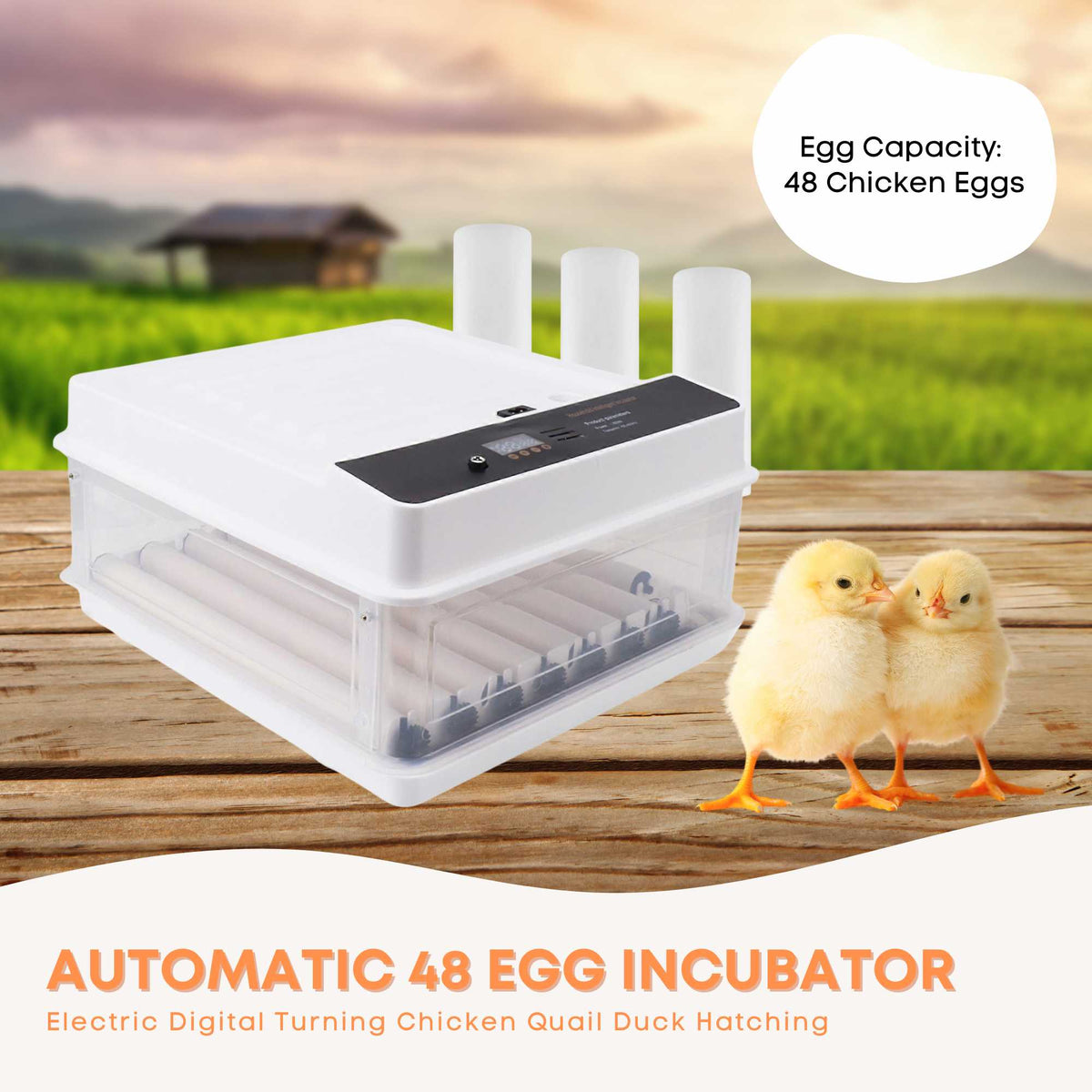 48 Egg Automatic Incubator – Digital Turning, Chicken, Quail and Duck