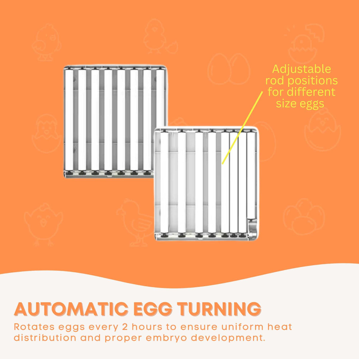 48 Egg Automatic Incubator – Digital Turning, Chicken, Quail and Duck
