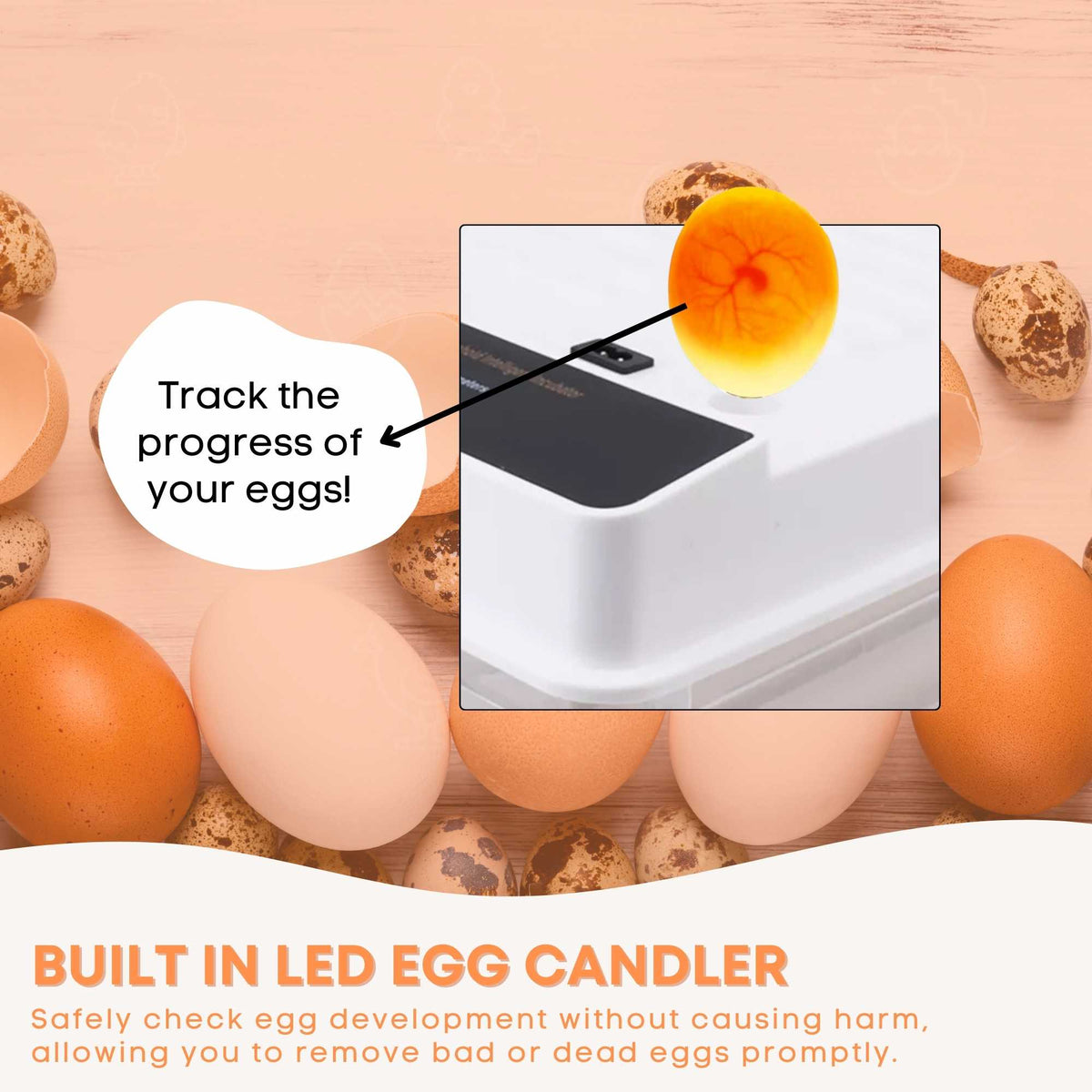 48 Egg Automatic Incubator – Digital Turning, Chicken, Quail and Duck