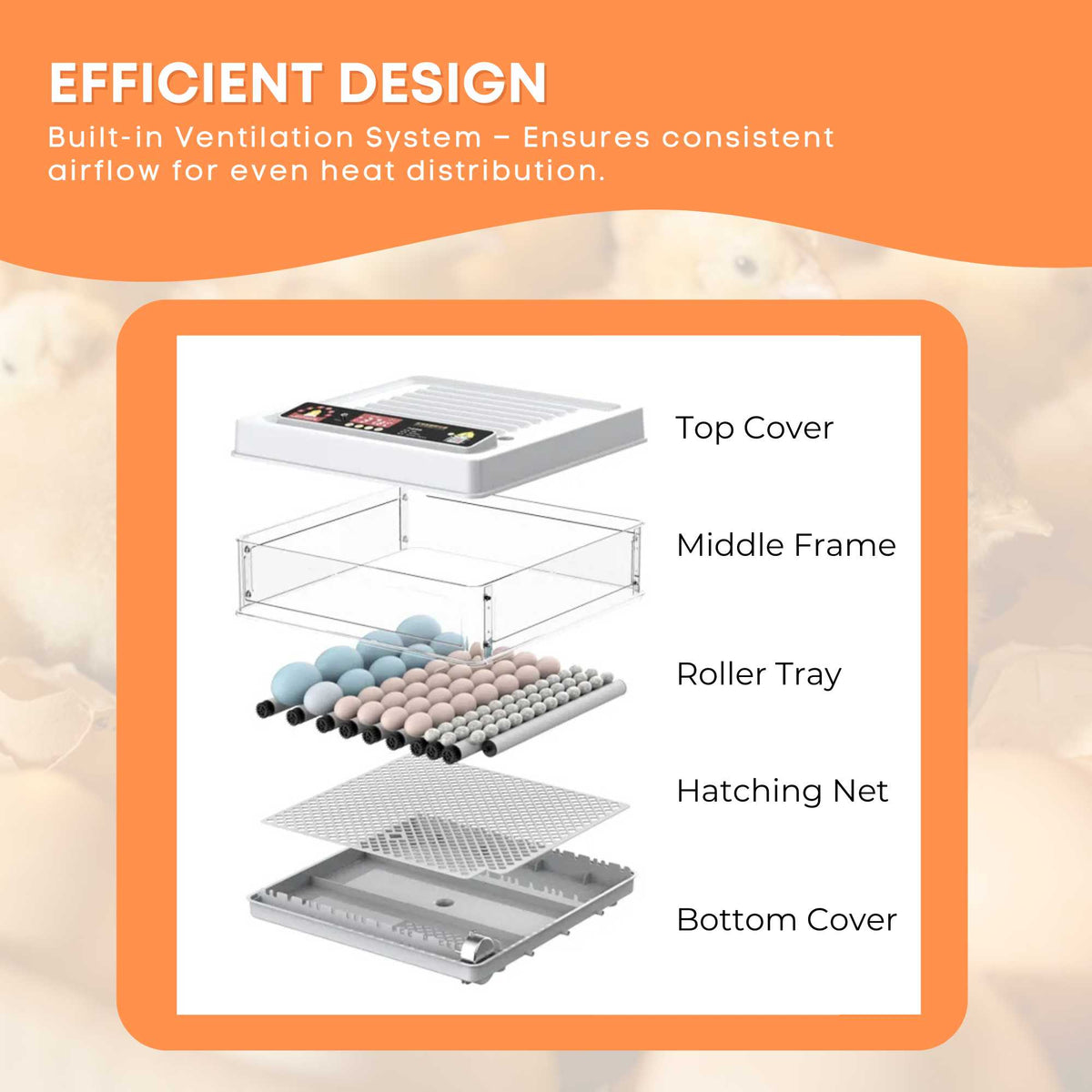 70 Egg Automatic Incubator – Digital Turning, Chicken, Quail and Duck