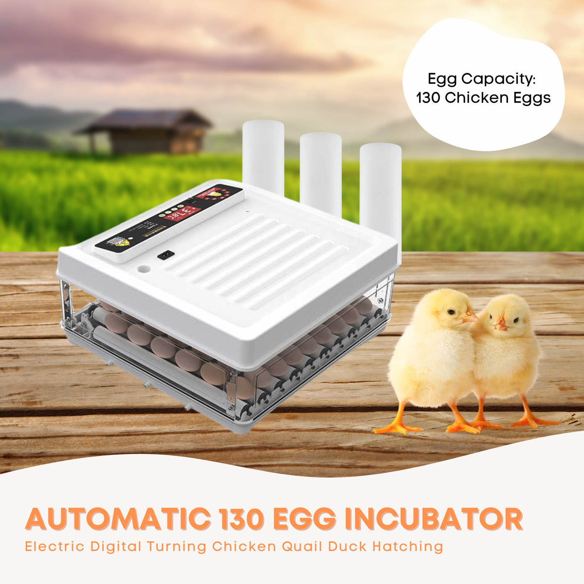 130 Egg Automatic Incubator – Digital Turning, Chicken, Quail and Duck