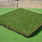 Artificial Grass