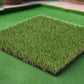 Artificial Grass