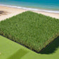 Artificial Grass