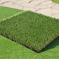 Artificial Grass