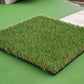 Artificial Grass