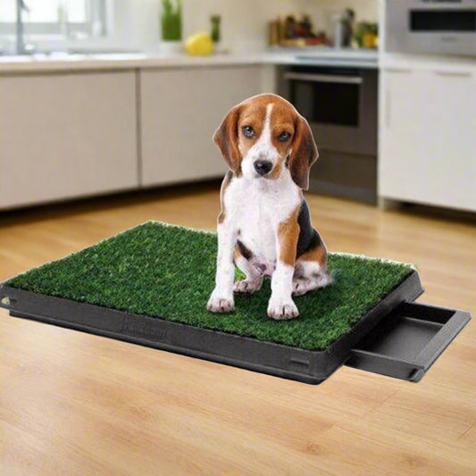 Pet Training Mat