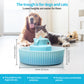 Blue Ceramic Electric Pet Water Fountain Dog Cat Water Feeder Bowl Dispenser