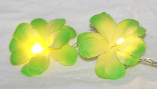 1 Set of 20 LED Green Frangipani Flower Battery String Lights Christmas Gift Home Wedding Party Decoration Outdoor Table Garland Wreath