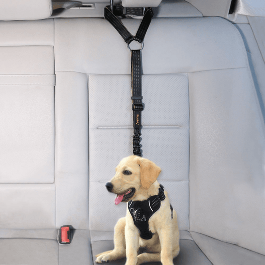Dog Seat Belt for Cars, Headrest Restraint with Locking Carabiner