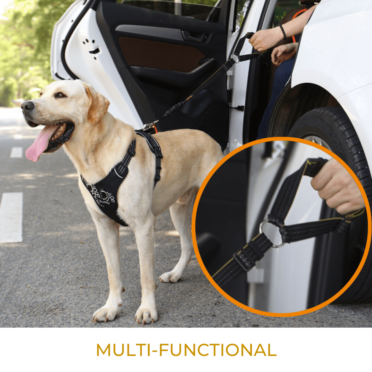 Dog Seat Belt for Cars, Headrest Restraint with Locking Carabiner