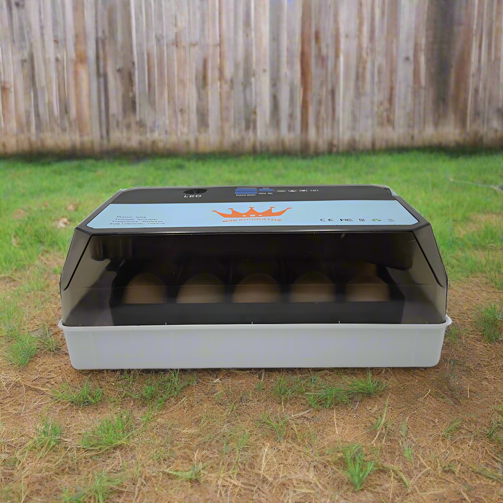 Egg Incubator