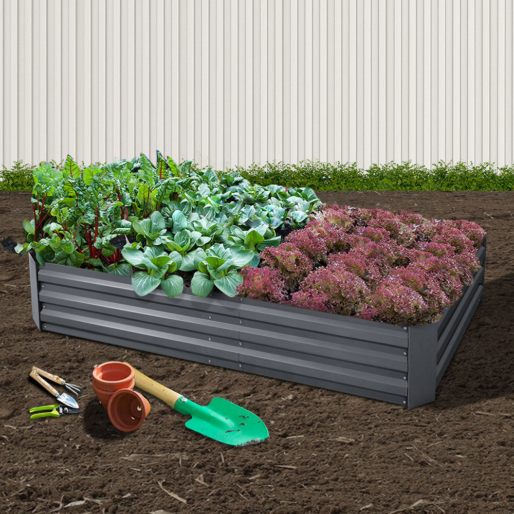 Garden Bed