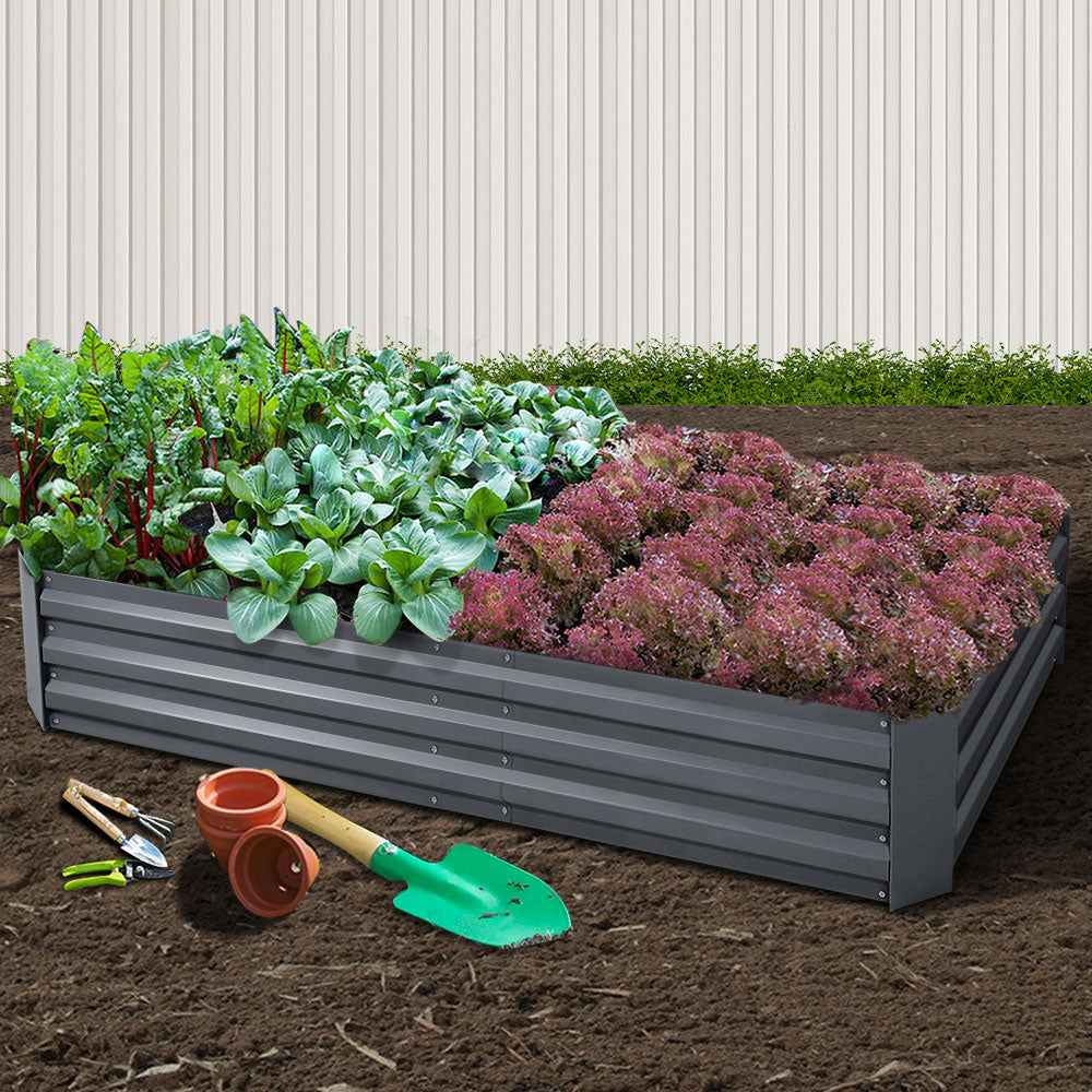 Garden Bed