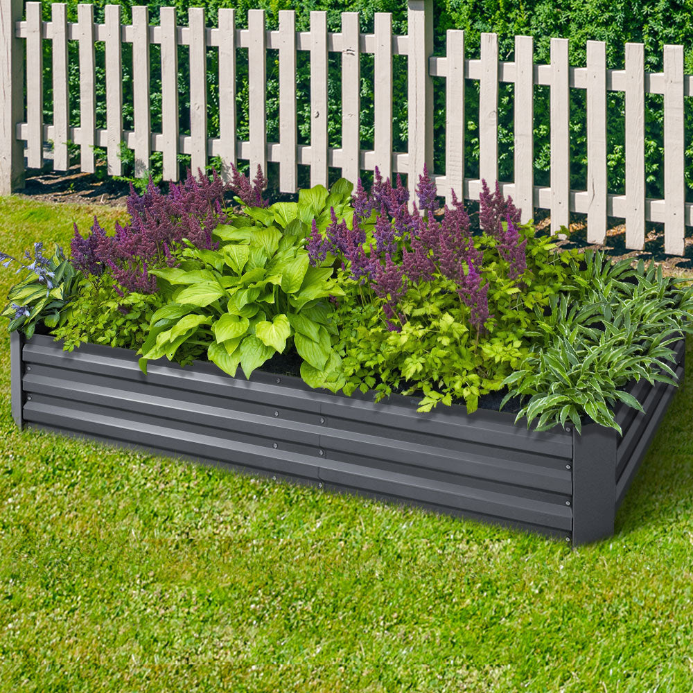 Garden Bed