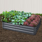 Garden Bed