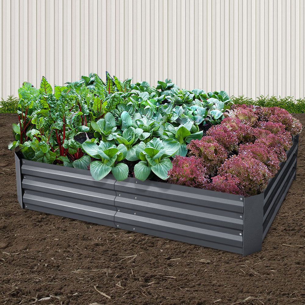 Garden Bed