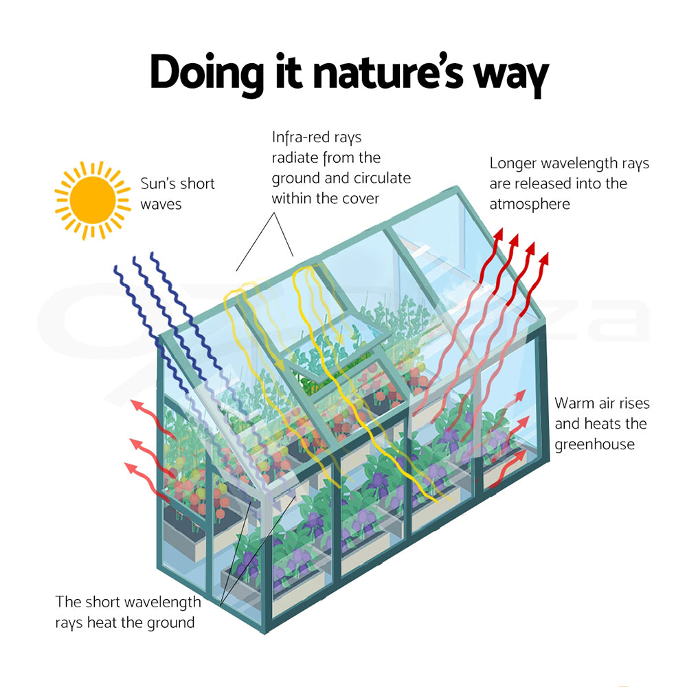 Greenhouse Aluminium Polycarbonate Green House Garden Shed1.9x1.27M