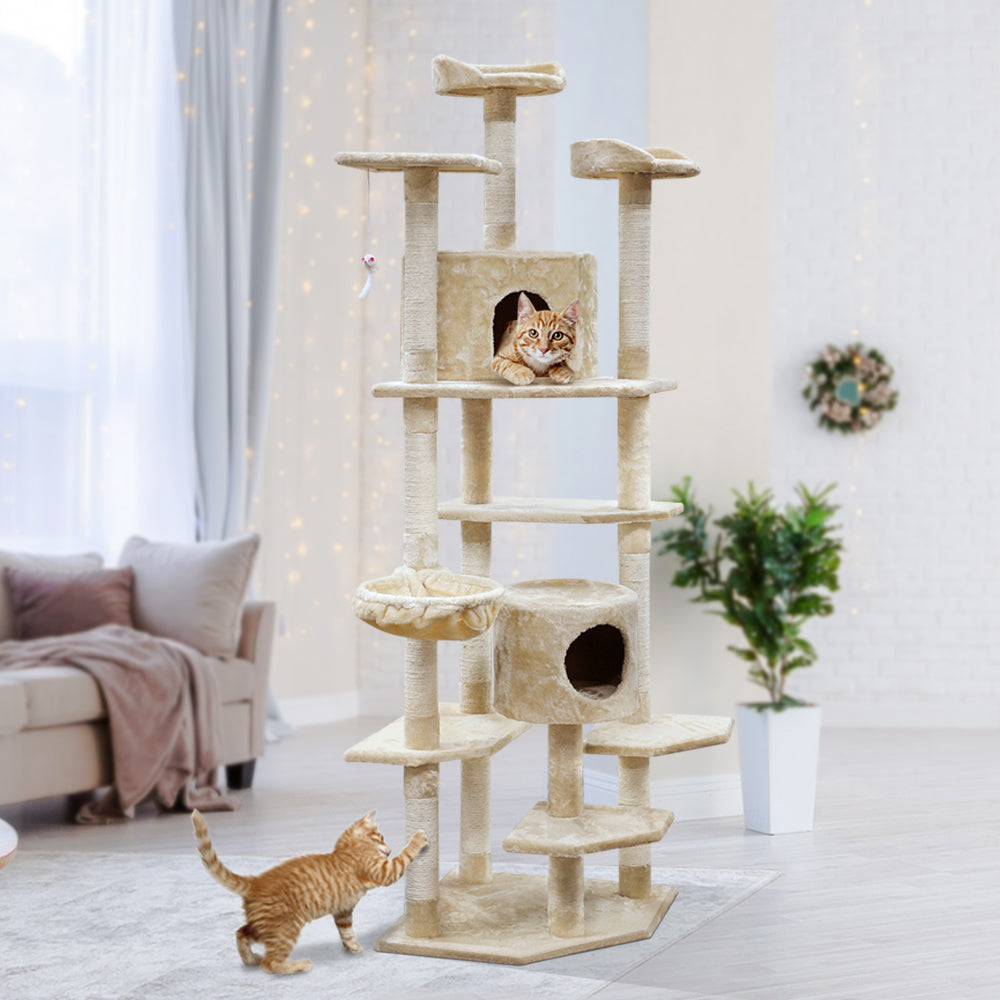 Cat Tower