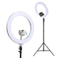 Ring Light 19" LED 6500K 5800LM Dimmable Diva With Stand Silver