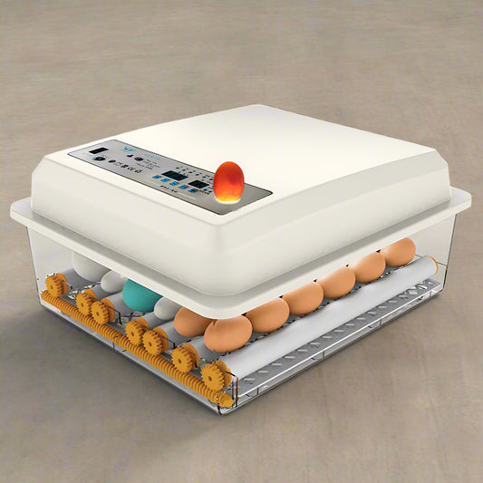 Egg Incubator