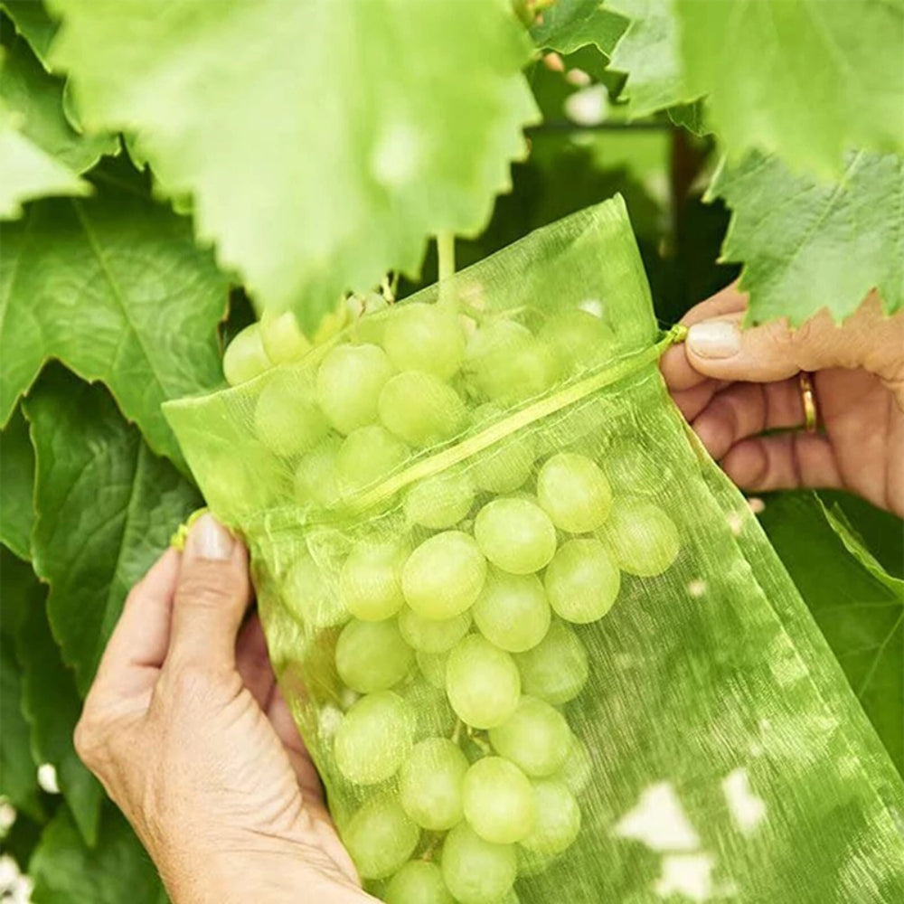 100PCS 20x30cm Fruit Net Bags Agriculture Garden Vegetable Protection Mesh Insect Proof