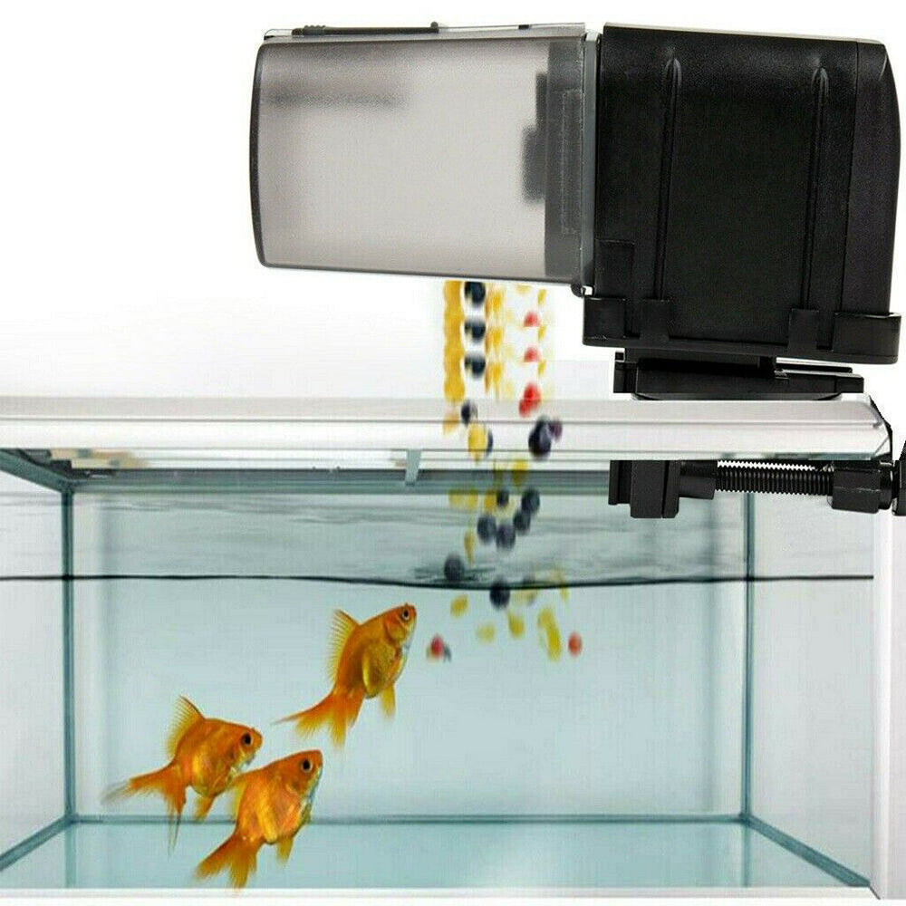 Automatic Fish Feeder