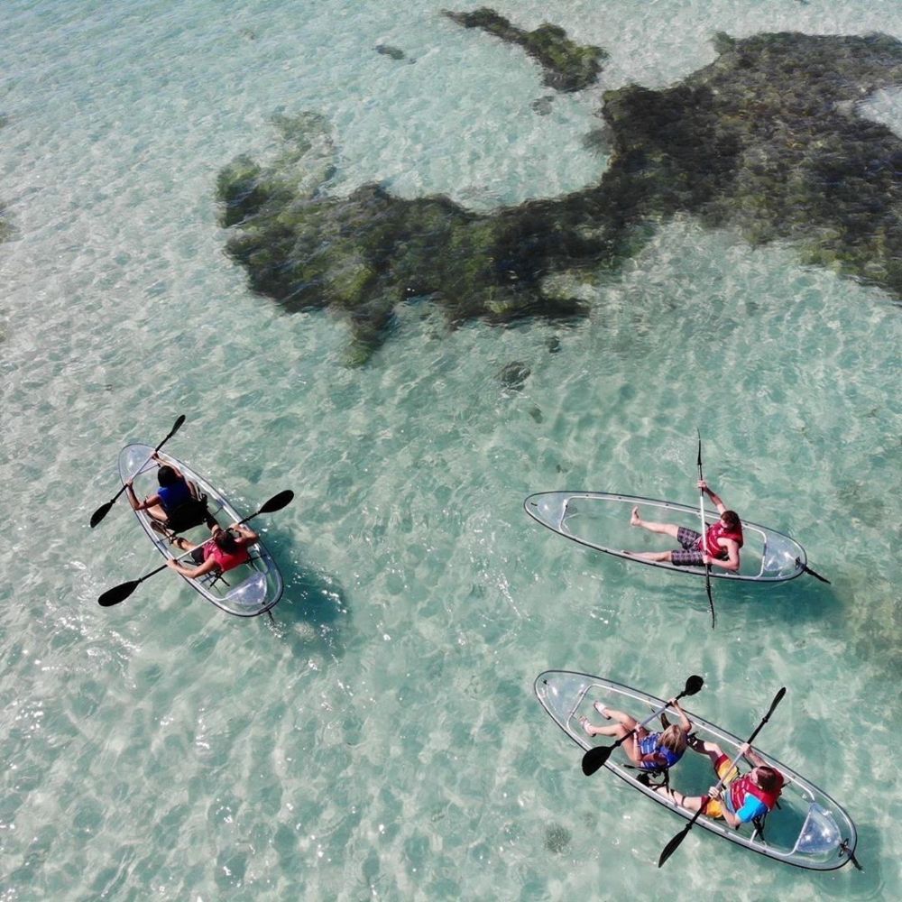 Clear Kayak with Random Colour Paddles