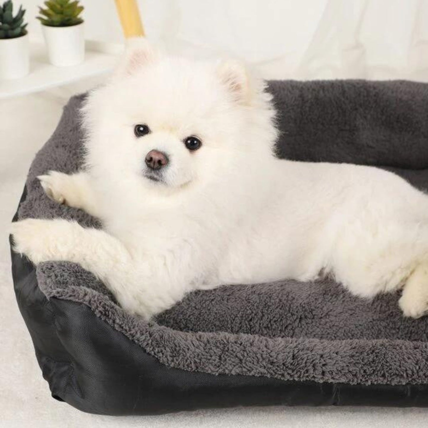 Pet Bed Square XL Size (Black+Dark Grey) FI-PB-303-XL