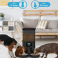 6L Automatic Digital Pet Dog Cat Feeder Double Food Bowl Dispenser