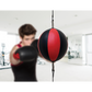 Floor to Ceiling Ball Boxing Punching Bag