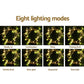 6X3M Christmas Curtain Lights 600LED Warm White