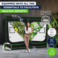 Grow Tent Kits 2.4m x 1.2m x 2m Hydroponics Indoor Grow System